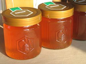 Die Termine für die Honigschulungen 2016 stehen fest