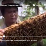 TV-Tipp: 360° Geo Reportage - Die Honigsammler von Yunann